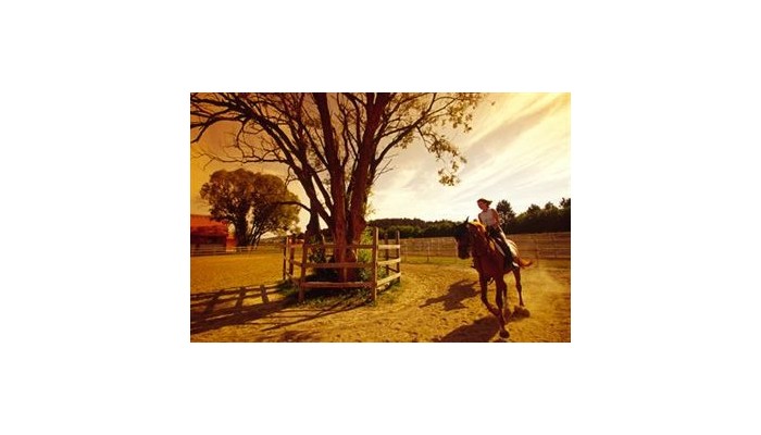 Hotel Club Dobogomajor poza 4