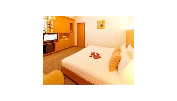 Hotel Liberty 2 poza 8