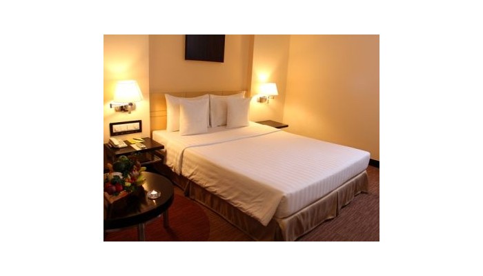 Hotel Palace Saigon poza 4