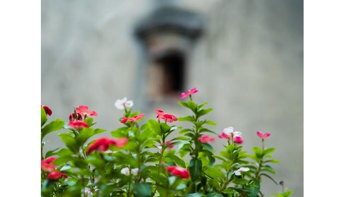 Hotel Hanoi Balcony Homestay poza 8