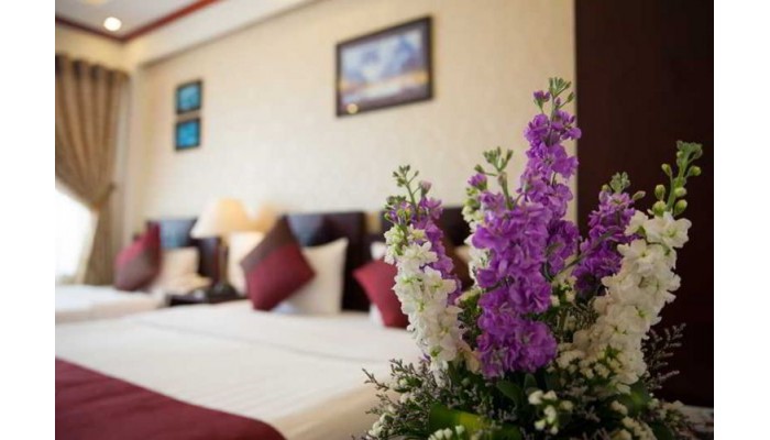Viet Hotel & Travel poza 3