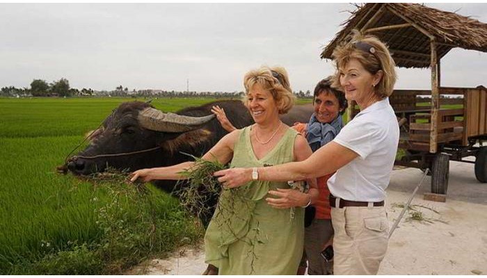 Hoi An Chic Hotel poza 0