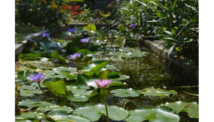 Hotel Homestay Tue Tam poza 0