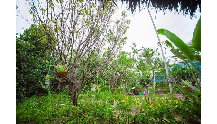 Muca Hoi An Boutique Resort & Spa poza 0