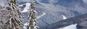 Imagine pentru Bukovel Cazare - Ucraina 2026