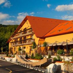 Imagine pentru Hotel Belvedere Cazare - City Break Sovata 2026