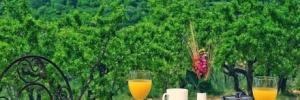 Imagine pentru Hotel Alahuar Cazare - Litoral Valencia la hoteluri de 4* stele 2027