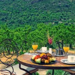 Imagine pentru Hotel Alahuar Cazare - Litoral Valencia la hoteluri de 4* stele 2027