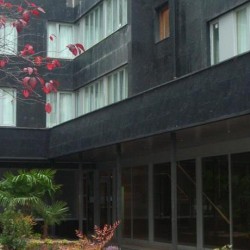 Imagine pentru Senator Castellana Hotel Cazare - City Break Madrid 2026