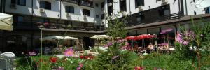 Imagine pentru Hotel Bansko Spa & Holidays Cazare + Autocar - Bansko 2026