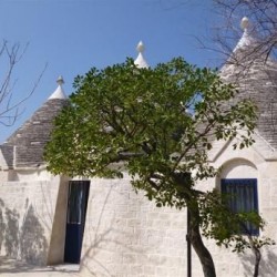 Imagine pentru Bari Cazare - City Break Italia 2026