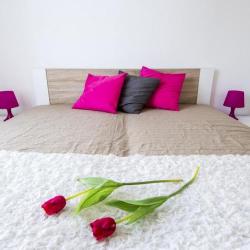 Imagine pentru Hotel Grand Budapest Penthouse Cazare - Ungaria 2026