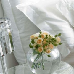 Imagine pentru Hotel Donna Carmela Cazare - Litoral Catania 2026