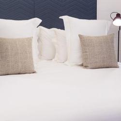 Imagine pentru Hotel One Shot Tabakalera House Cazare - Litoral Tara Bascilor 2026