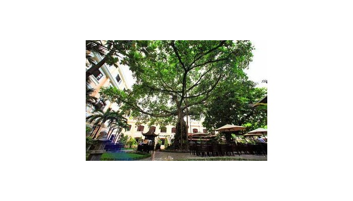 Hotel Saigon Morin poza 5