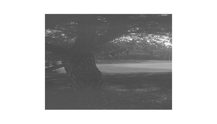 Hotel Apartamentos Interpass Golf Playa Country Club poza 5