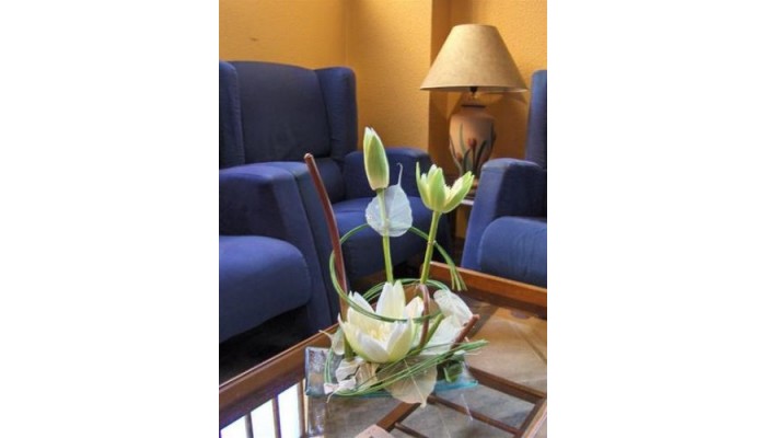 Hotel Los Castanos poza 4