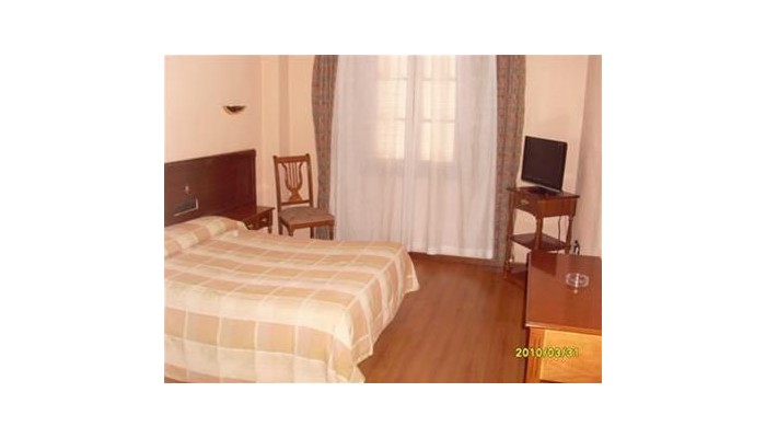 Hotel Los Castanos poza 7