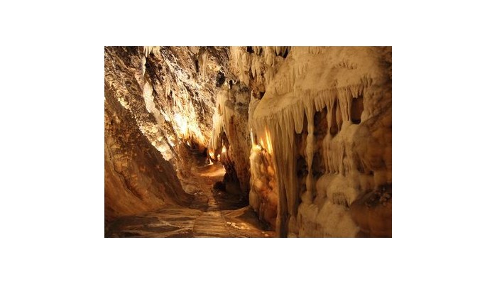 Hotel Sierra De Aracena poza 11