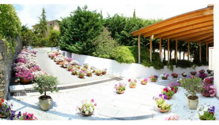 Best Western Hotel Anthurium poza 0