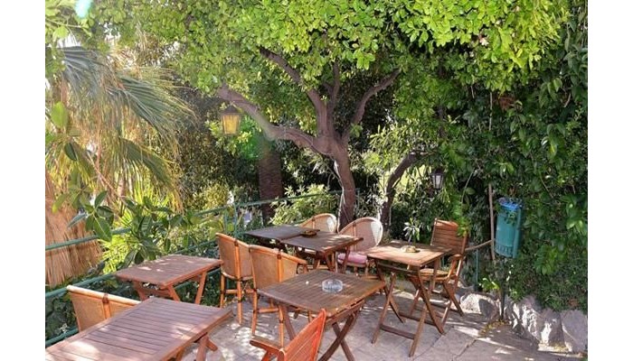 Hotel Petit Royal poza 5