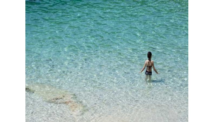 Family Hotel Vespera poza 35