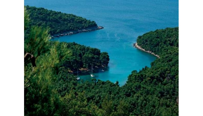 Hotel Bellevue poza 1