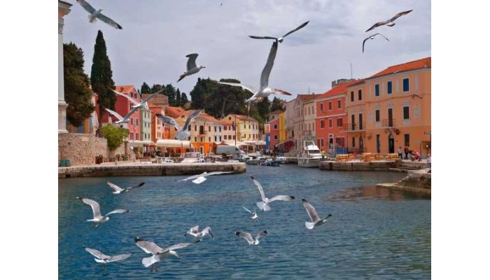 Hotel Vitality Punta poza 30