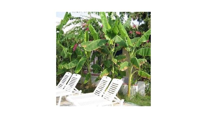 Hotel Casa Di Roma poza 8