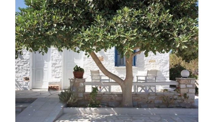 Margarita Studios poza 3