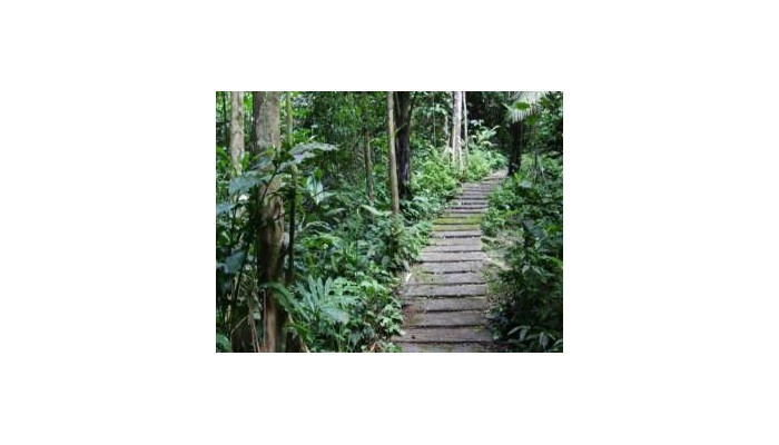 Hotel Banjaran Hotsprings Retreat poza 5