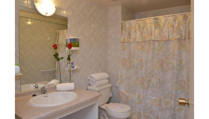 Hotel Barros Arana poza 3