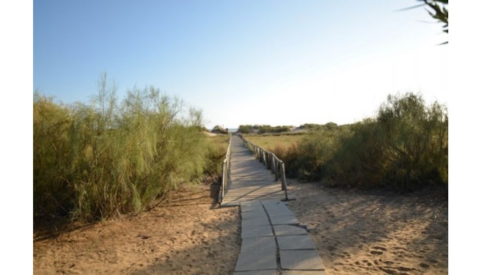 Hotel Leo San Bruno poza 2