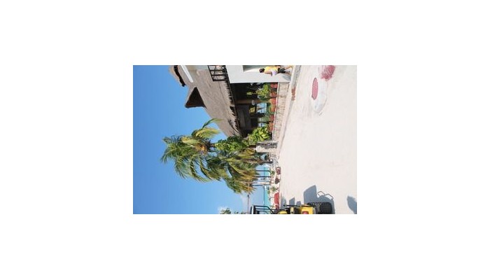 Hotel Cabanas Maria Del Mar poza 4