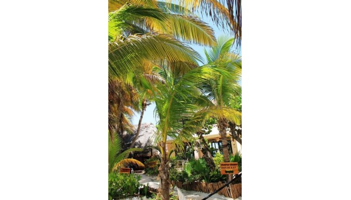 Hotel Villa Kiin poza 10