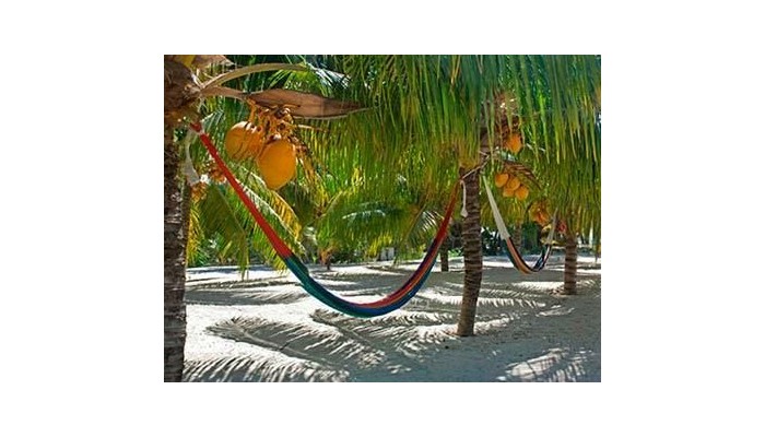 Villas Coco Resort poza 7