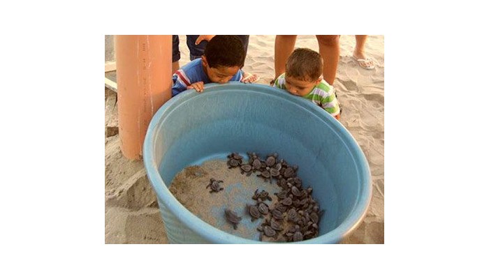 Hotel Roberto's Bistro poza 3