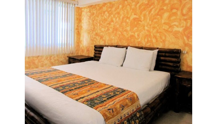 Hotel Tesoro Ixtapa poza 0