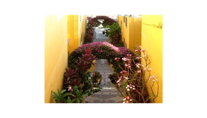 Hotel Villas Amarillas poza 1