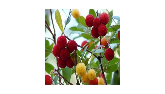 Hotel Montana De Cazorla poza 9