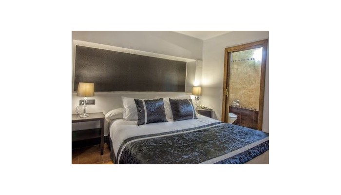 Hotel Rosaleda De Don Pedro poza 11