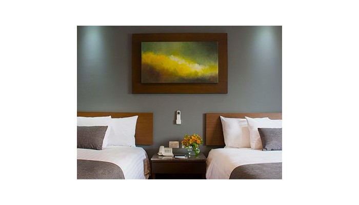 Eco Hotel Guadalajara Expo poza 11