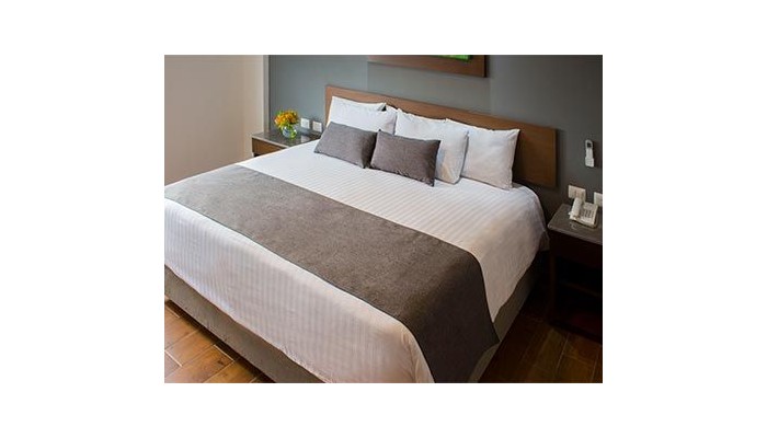 Eco Hotel Guadalajara Expo poza 2