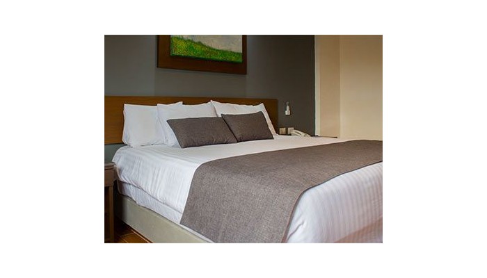 Eco Hotel Guadalajara Expo poza 1