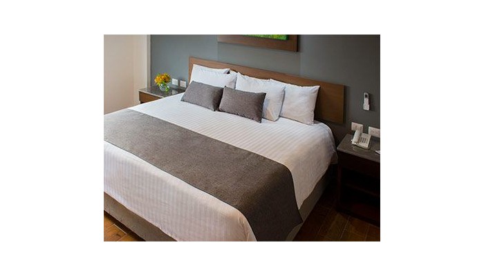 Eco Hotel Guadalajara Expo poza 8