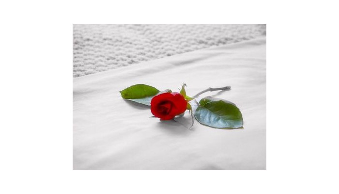 Hotel Alcazar Suites poza 0