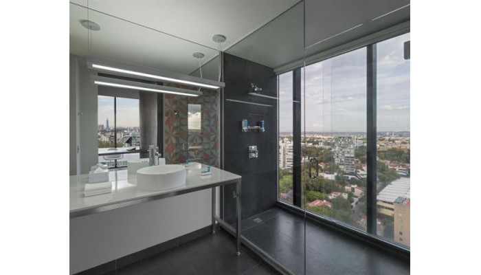Hotel Aloft Guadalajara poza 6