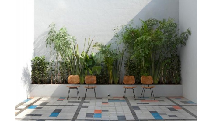 Hotel Casa Fayette poza 9