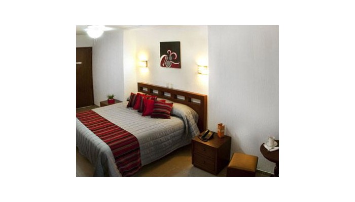 Hotel Guadalajara Express poza 10