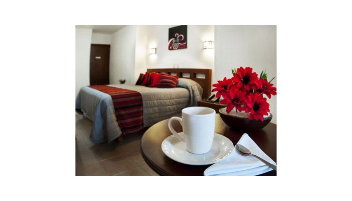 Hotel Guadalajara Express poza 9